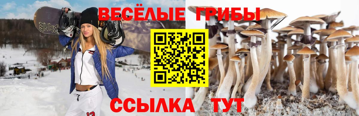 Галлюциногенные грибы мицелий Комсомольск-на-Амуре