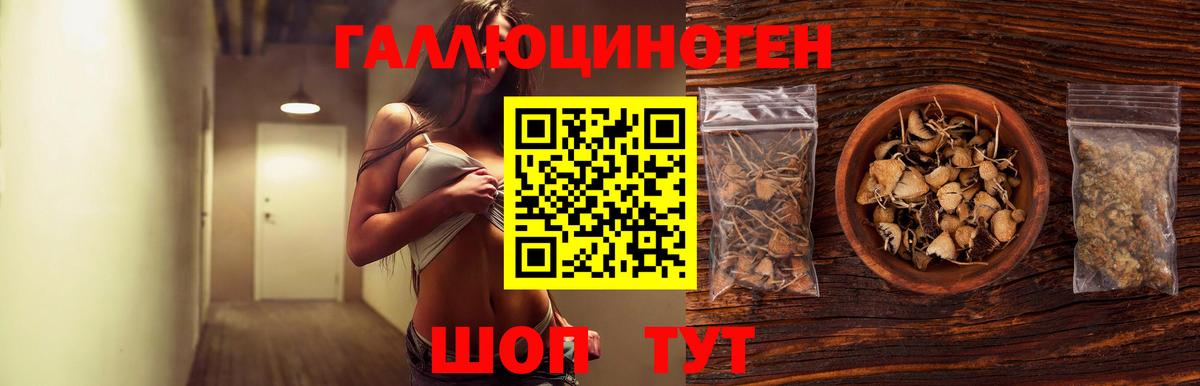 Псилоцибиновые грибы GOLDEN TEACHER  Вход с VPN  Комсомольск-на-Амуре 